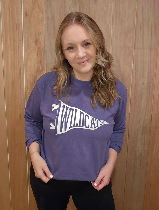 WILDCATS PENNANT Purple Vintage Wash Long Sleeve Vintage Tee