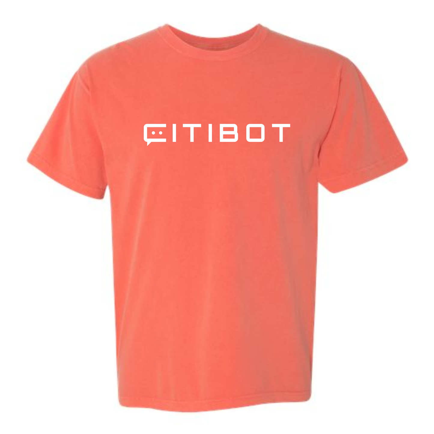 CITIBOT White Logo Vintage Wash Short Sleeve Tee